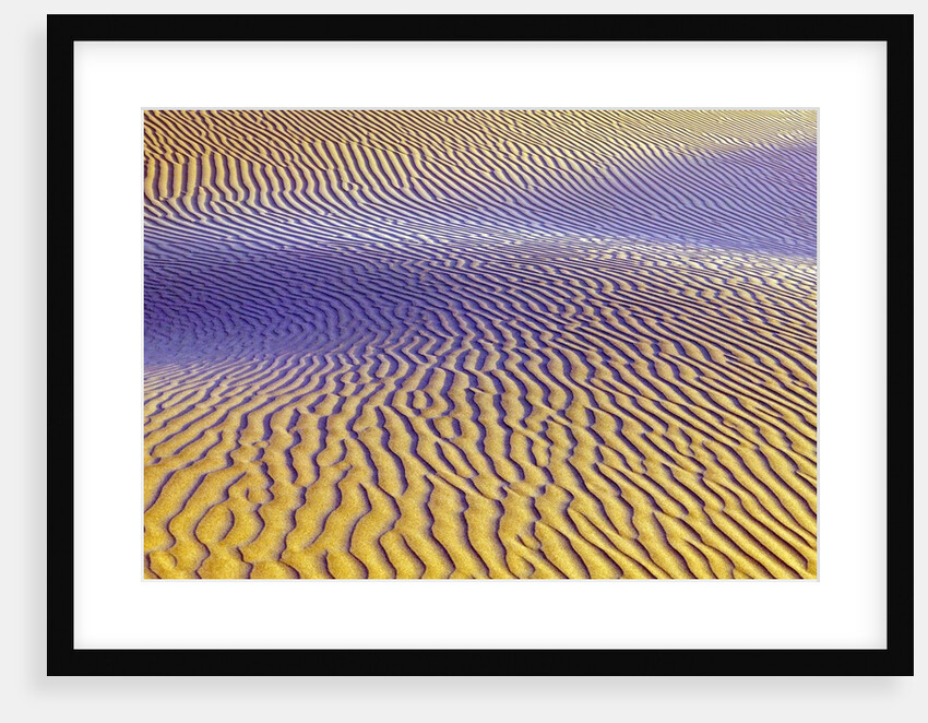 Purple Sand Dunes by Anonymous