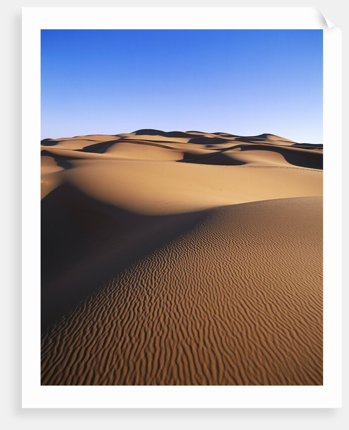 Sahara Desert by Anonymous