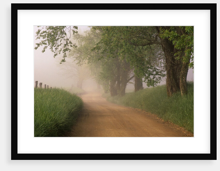 Fog Over Rural Road in Great Smoky Mountains by Anonymous