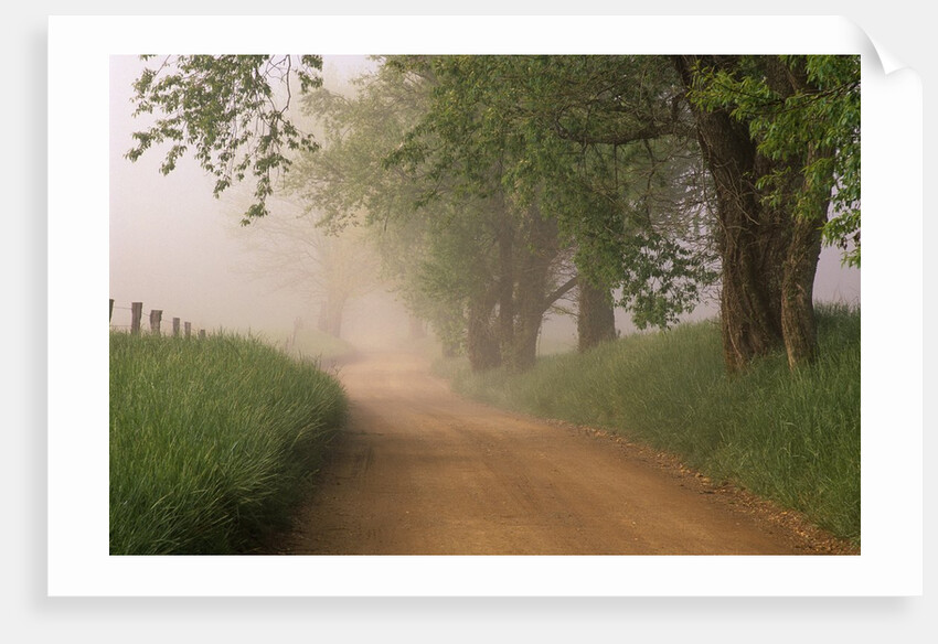 Fog Over Rural Road in Great Smoky Mountains by Anonymous