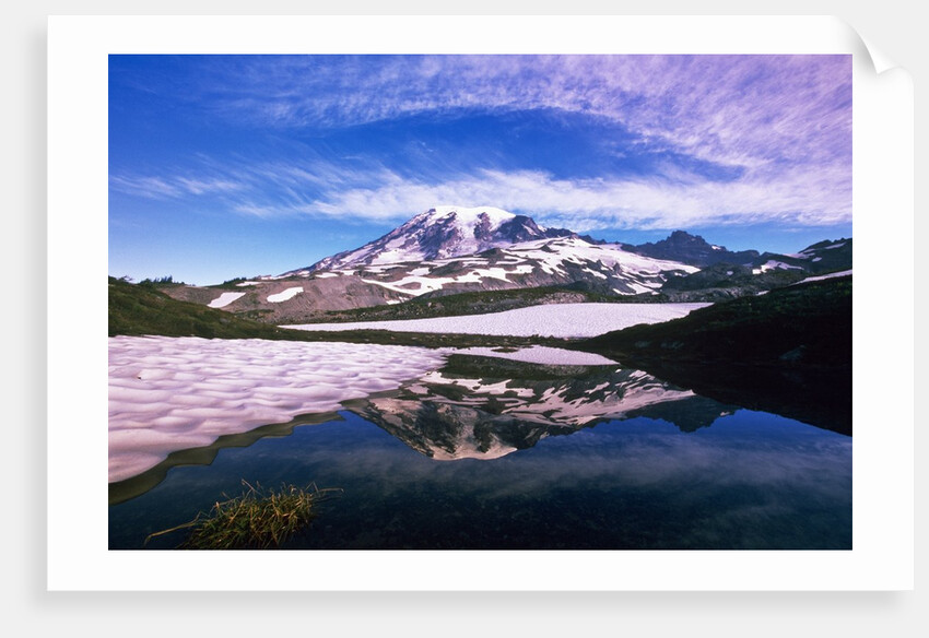 Mount Rainier Reflected in Pond by Anonymous