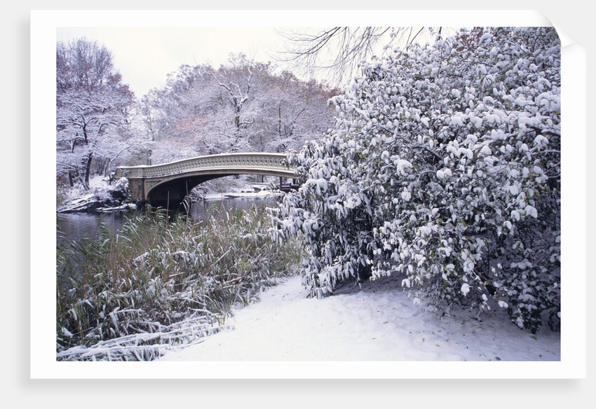 Snow at Bow Bridge in Central Park by Anonymous