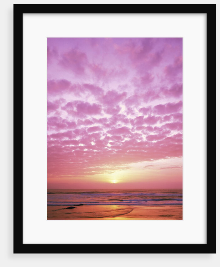 Pink Sunset Over Heceta Beach by Anonymous