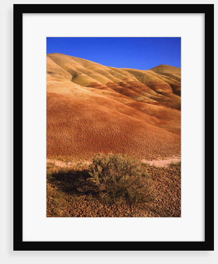 Oregon's Painted Hills by Anonymous