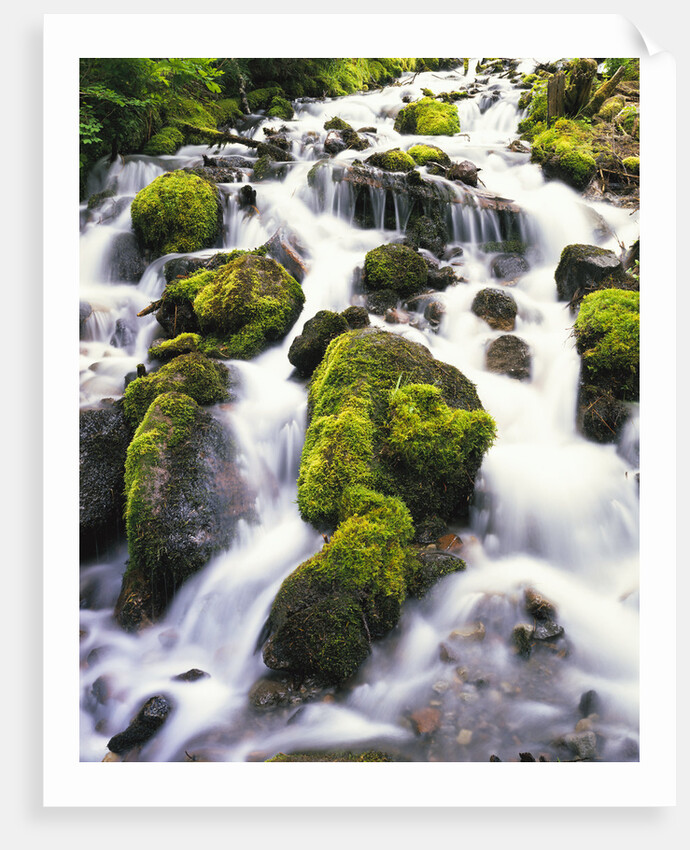 Mossy Rocks in Rushing Stream by Anonymous