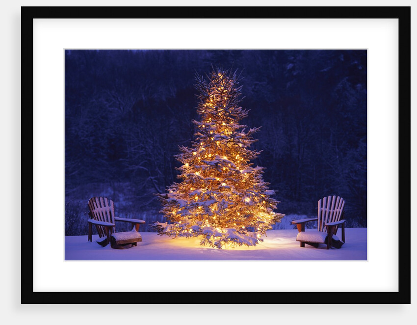 Snow Covering Adirondack Chairs by Lit Christmas Tree by Anonymous