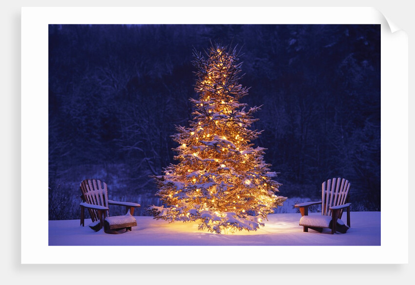 Snow Covering Adirondack Chairs by Lit Christmas Tree by Anonymous