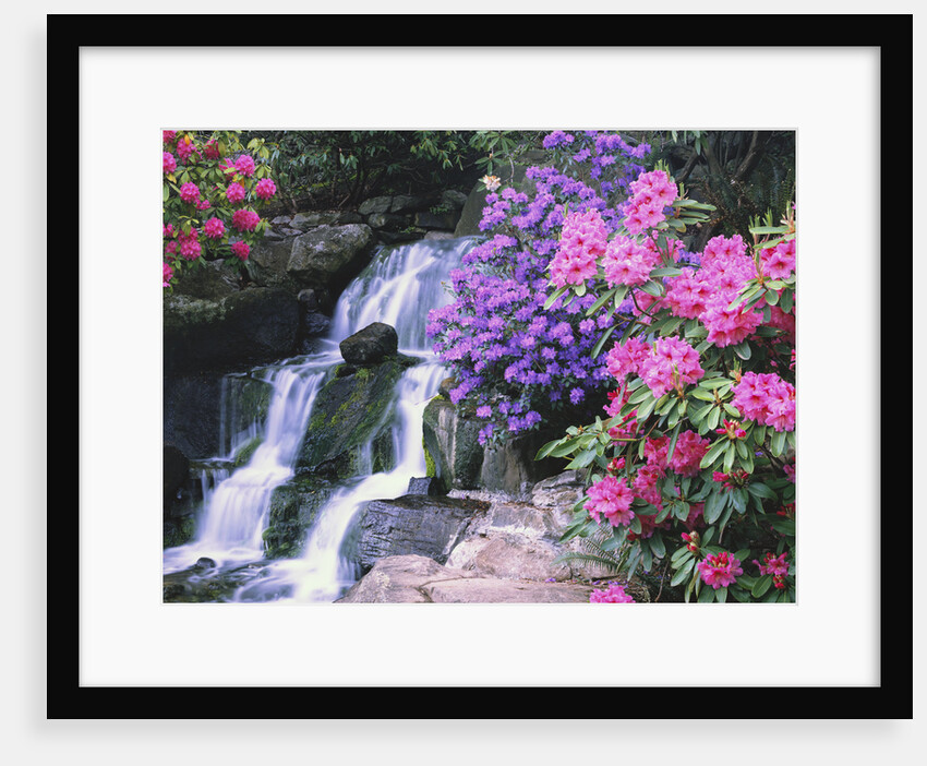 Waterfall in Crystal Springs Garden by Anonymous