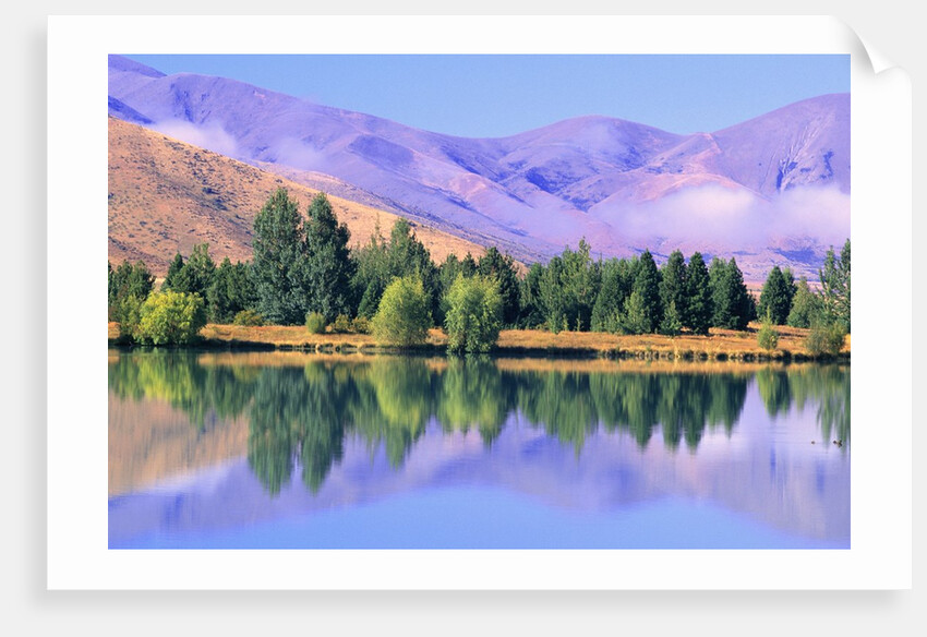 Lake Reflecting Trees Against Mountains by Anonymous
