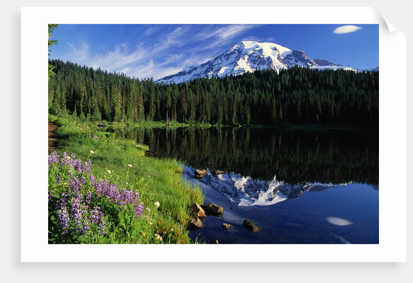 Reflection Lake and Mount Rainier by Anonymous