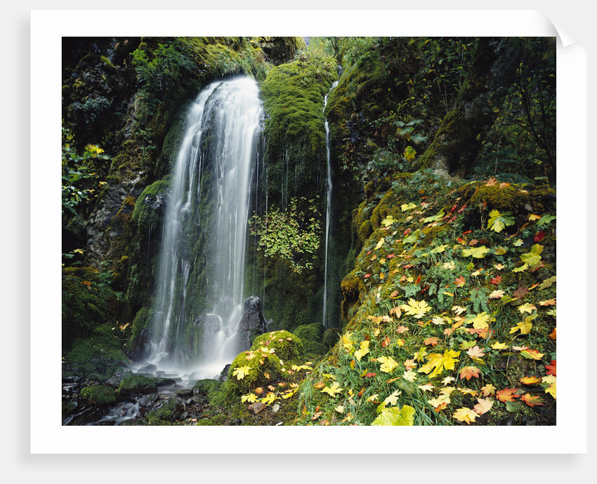 Lush Waterfall in Autumn by Anonymous