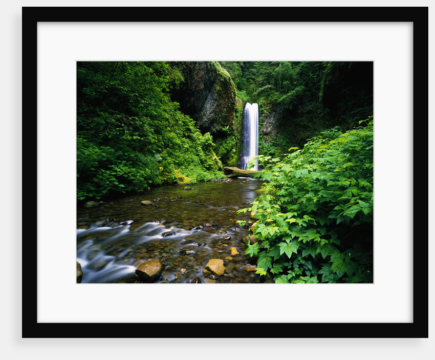 Upper Multnomah Falls by Anonymous