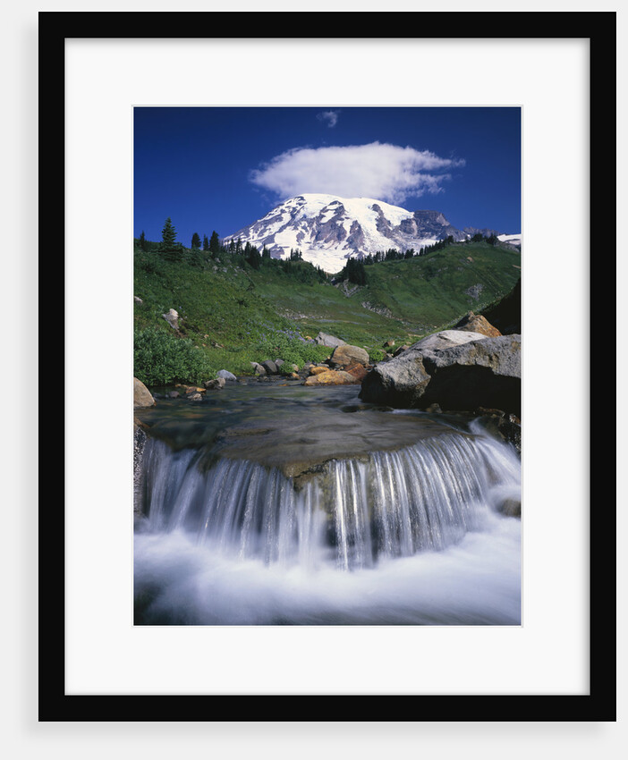Mt. Rainier Rising above Valley by Anonymous
