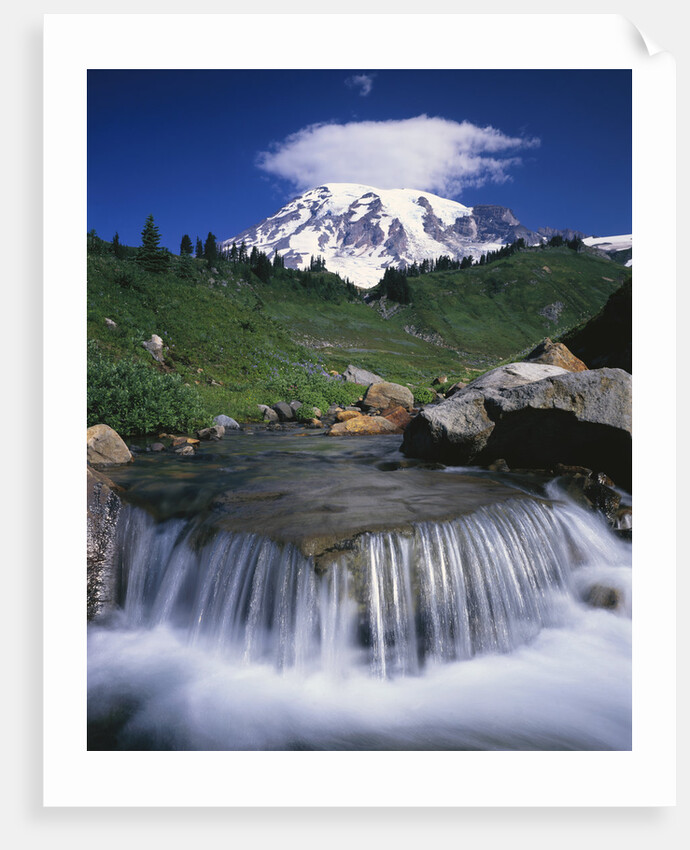 Mt. Rainier Rising above Valley by Anonymous