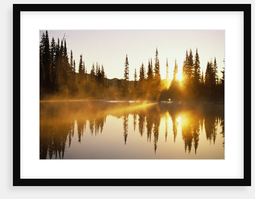 Sun Rising over Pond by Anonymous