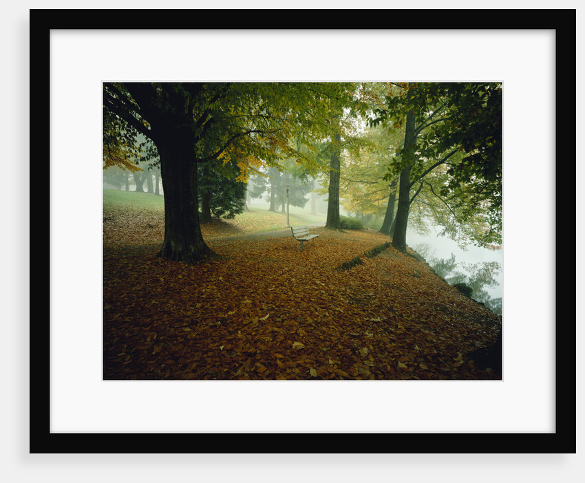 Quiet Park in Autumn by Anonymous