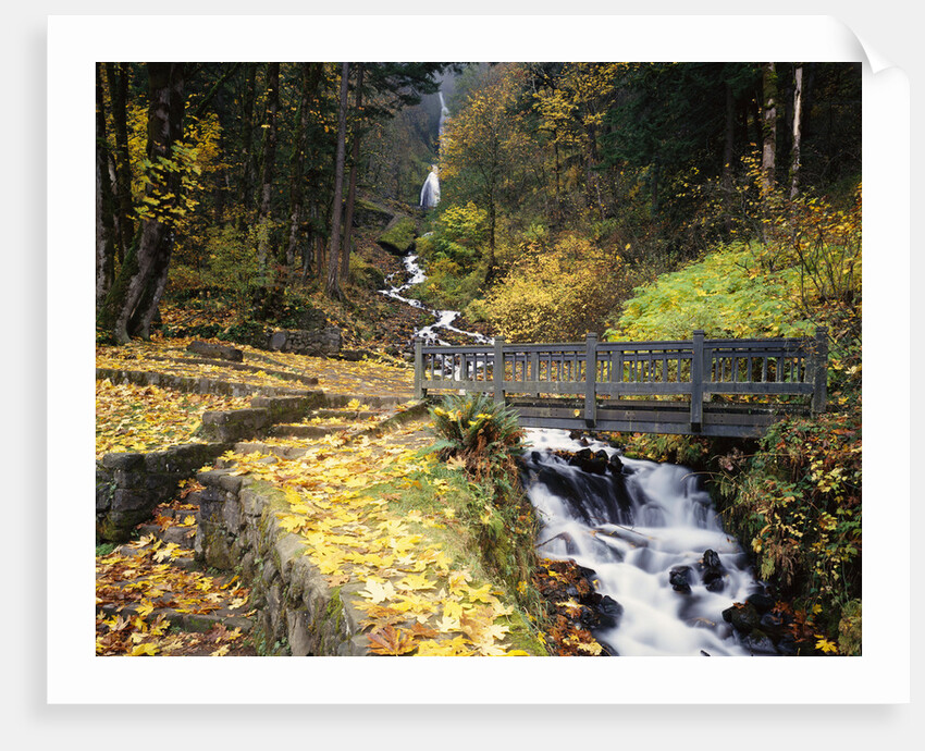 Wooden Bridge along Wahkeena Falls by Anonymous