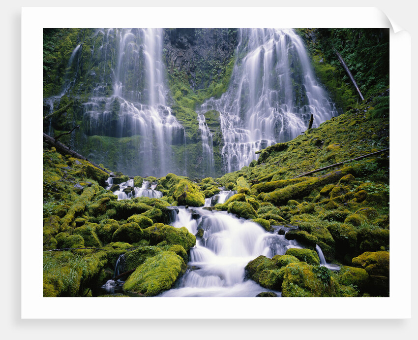 Water Cascading Down Proxy Falls by Anonymous