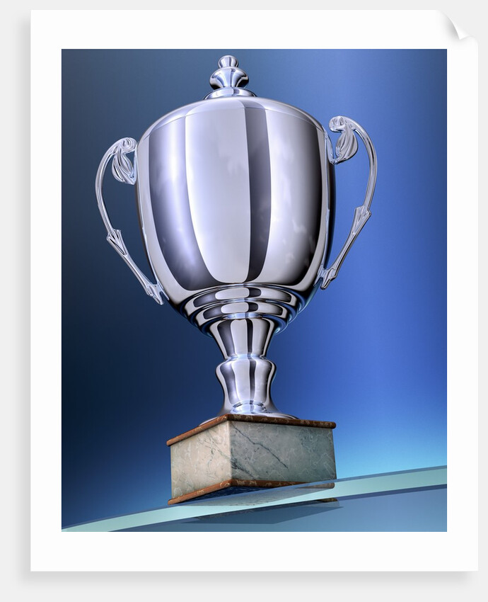 Shiny Trophy by Anonymous