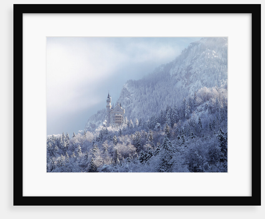 Neuschwanstein Castle by Anonymous
