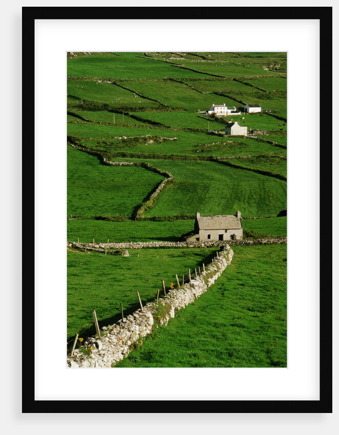 Abandoned Farmhouse in the Irish Countryside by Anonymous