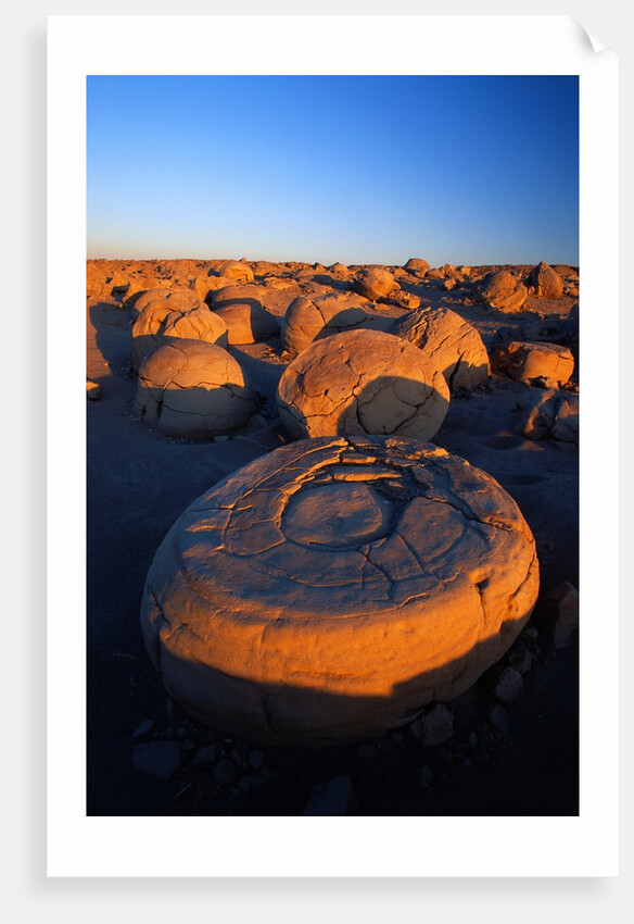 Pumpkin Patch Concretions by Anonymous