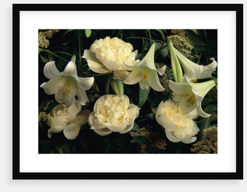 Easter Lilies and White Peonies by Anonymous