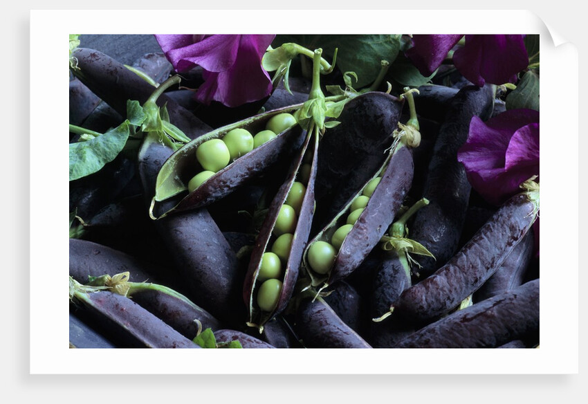 Pea Pods by Anonymous