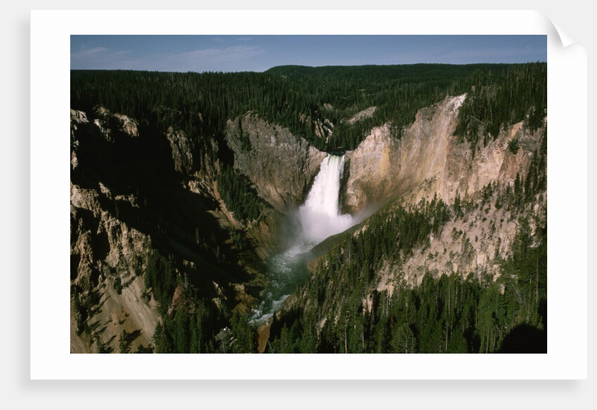 Lower Falls in Yellowstone National Park by Anonymous