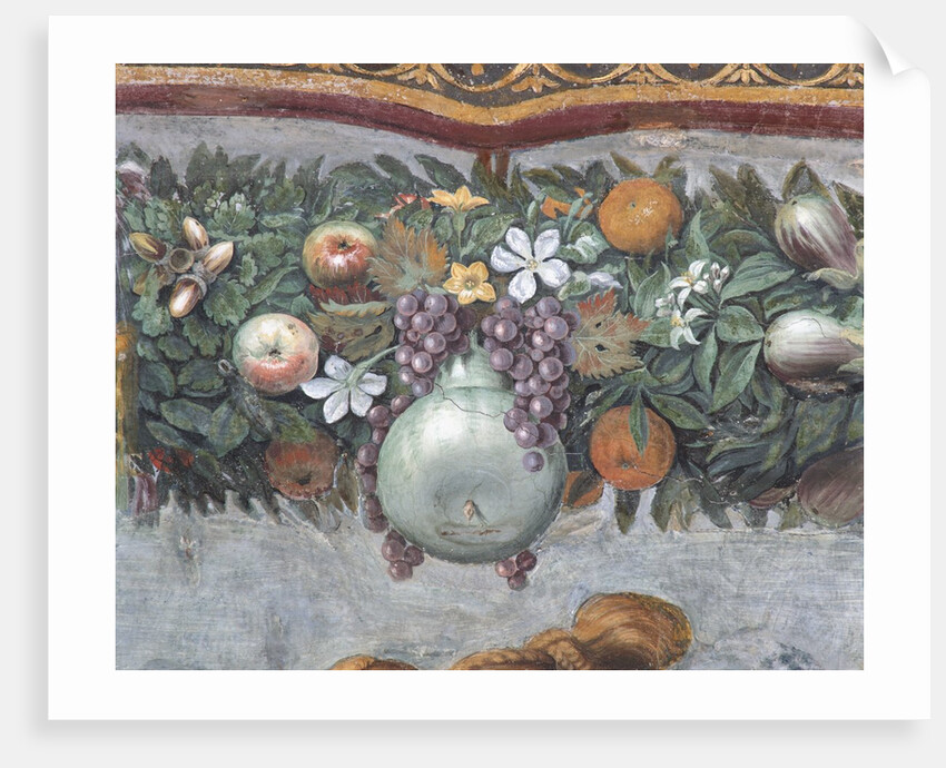 Detail of Fruits and Decorative Border from the Loggia of Cupid and Psyche by Raphael and His Workshop