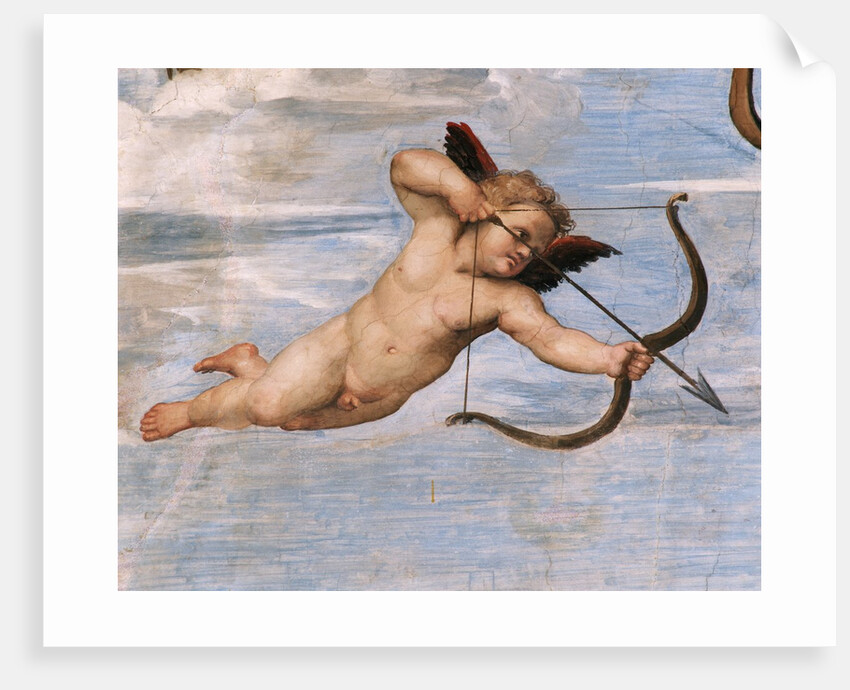 Detail of Cupid from Galatea by Raphael