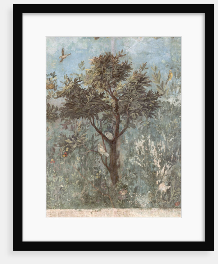 Roman Fresco of Tree with Birds by Anonymous