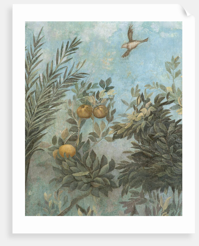 Detail Showing Scene from Roman Fresco of Tree with Birds by Anonymous