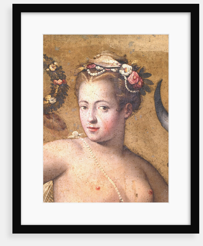 Venus from the Salon of the Muses in the Villa Medici in Florence by Anonymous