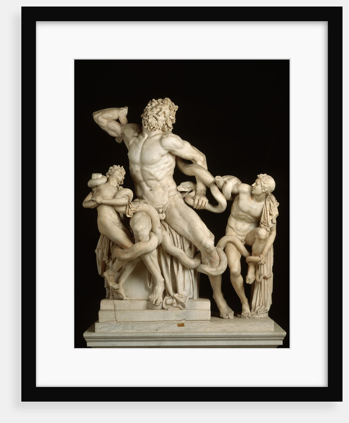 The Laocoon Group by Anonymous