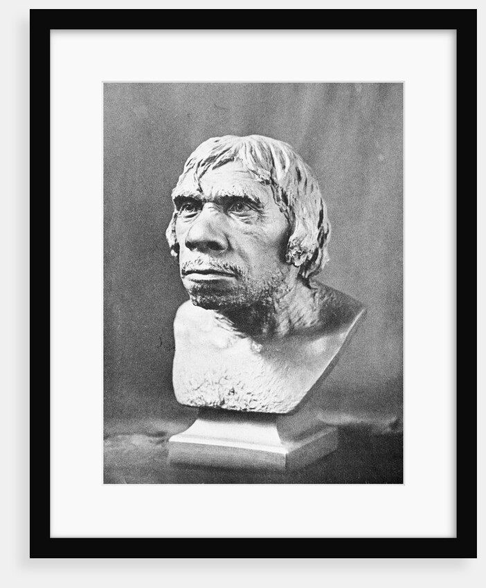 Bust of Prehistoric Man by Anonymous