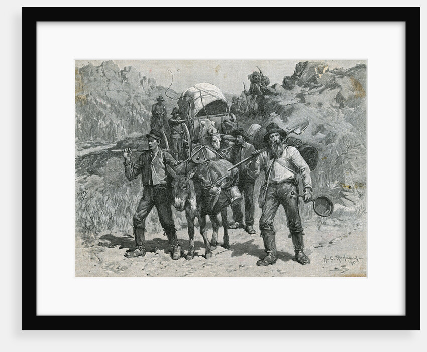 Illustration of California Prospectors by Allen Carter Redwood