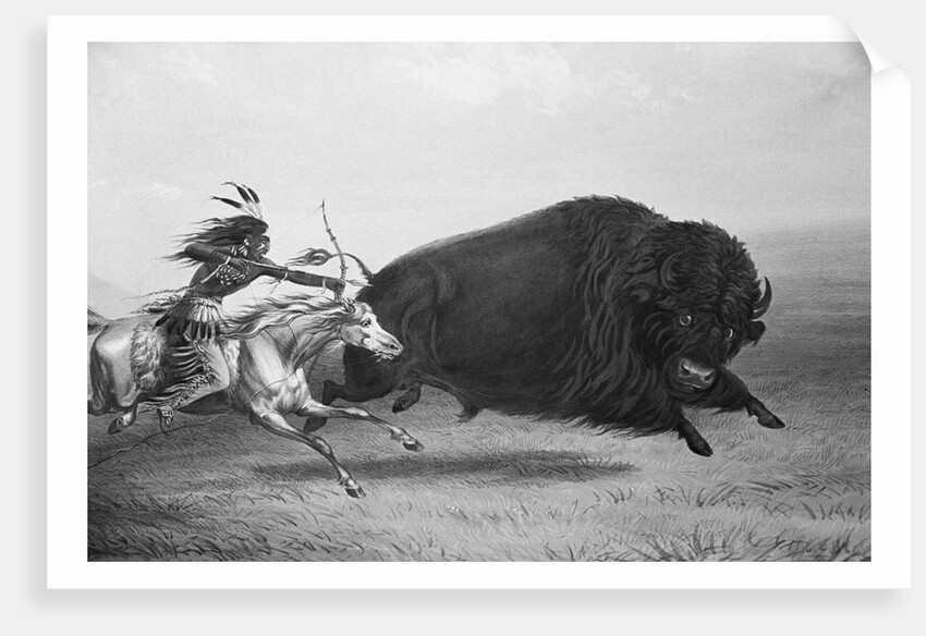 Indian Trying to Kill Buffalo by Anonymous