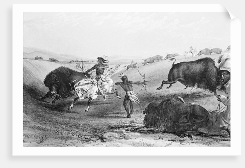 Indians Killing Buffalos by Anonymous
