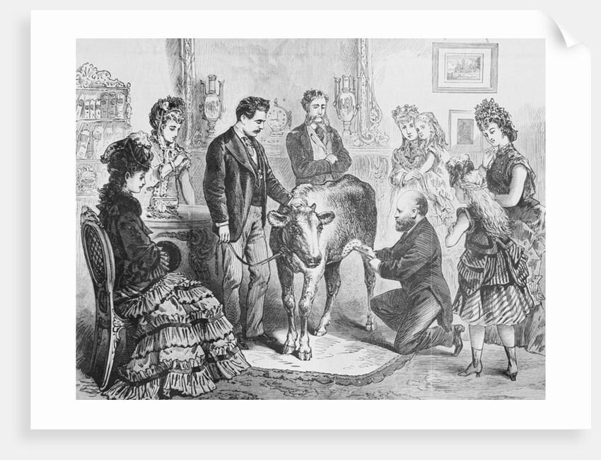 Dr. Chambon Working with Cow by Anonymous