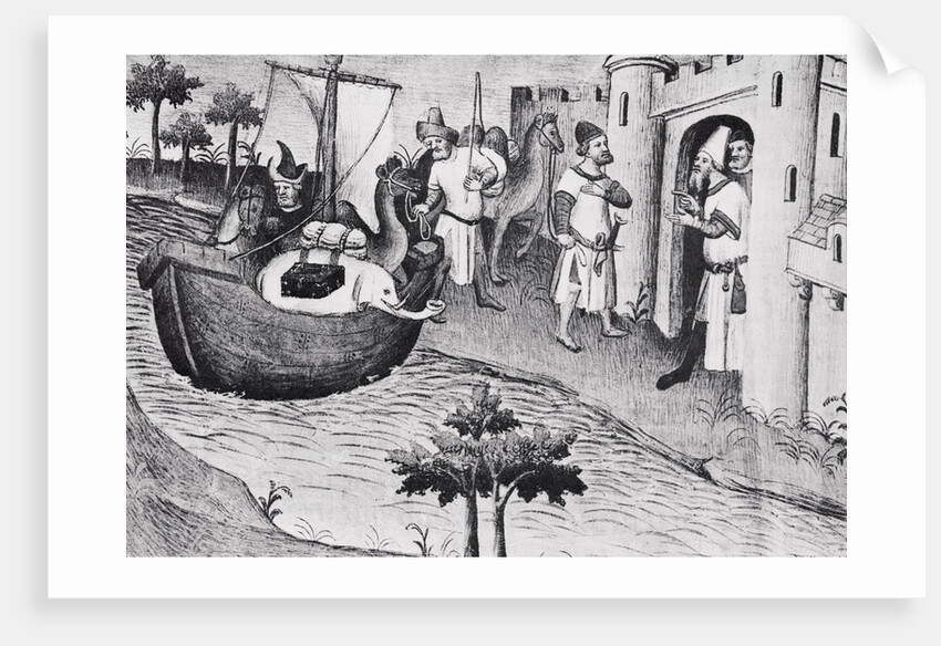 Camels Arriving in a New Land by Anonymous
