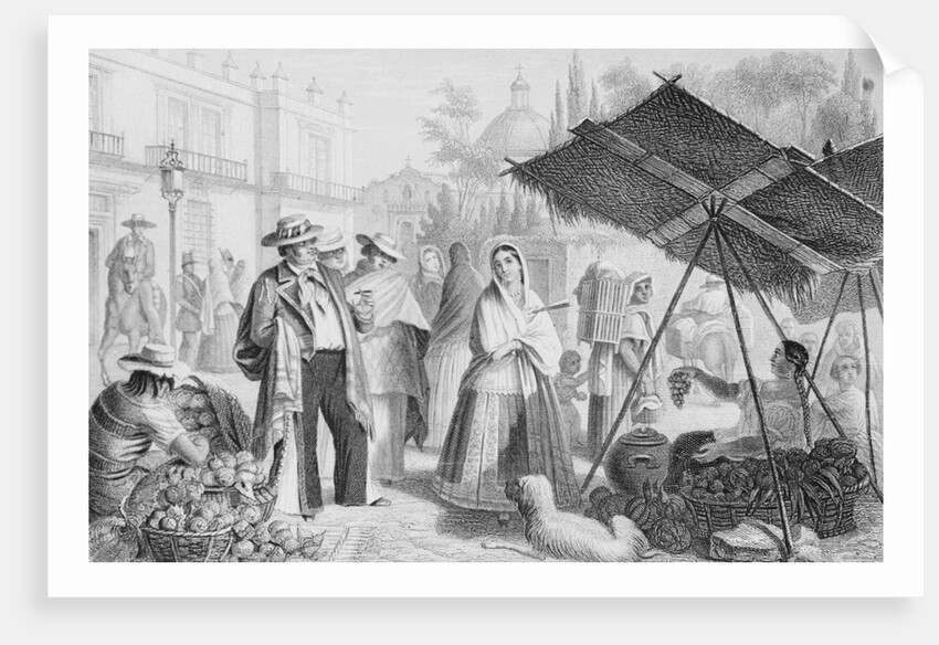 Outdoor Market by Anonymous