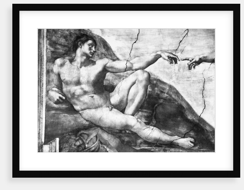 Detail of Creation of Adam by Michelangelo