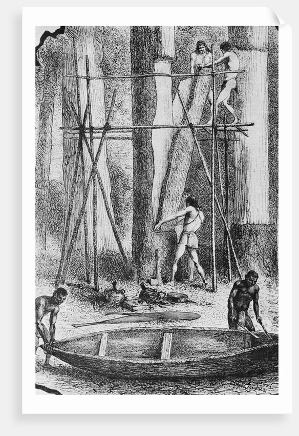 Amazon Indians Constructing Bark Canoes by Anonymous