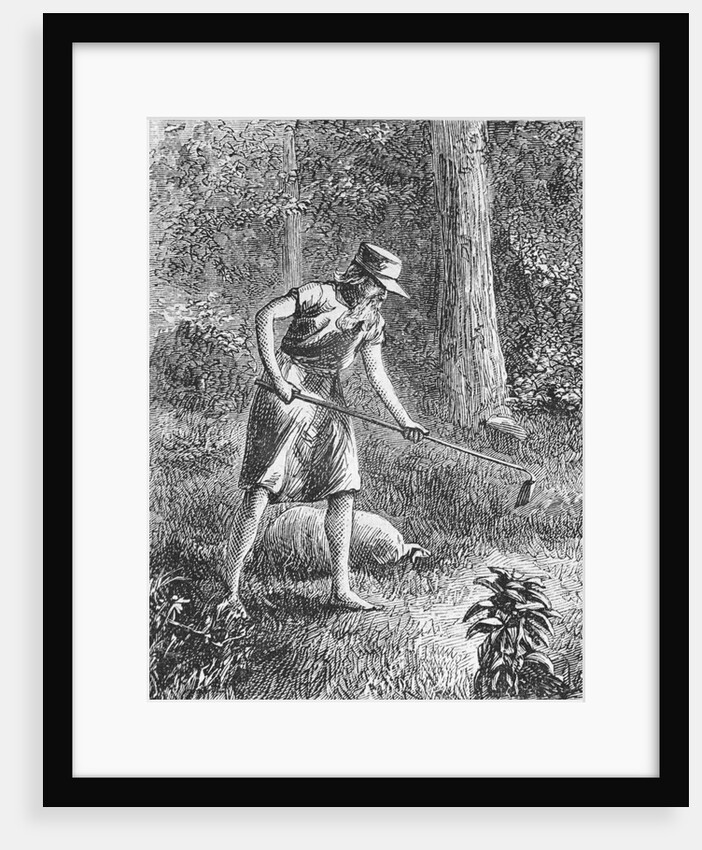 Johnny Appleseed Planting Apple Seeds in Wilderness by Anonymous