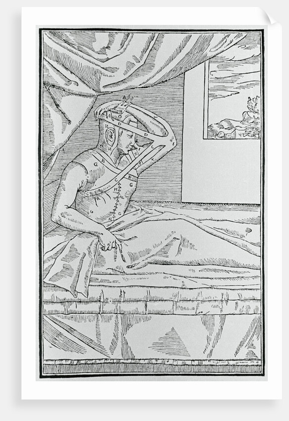 Patient with Nose Surgery by Anonymous