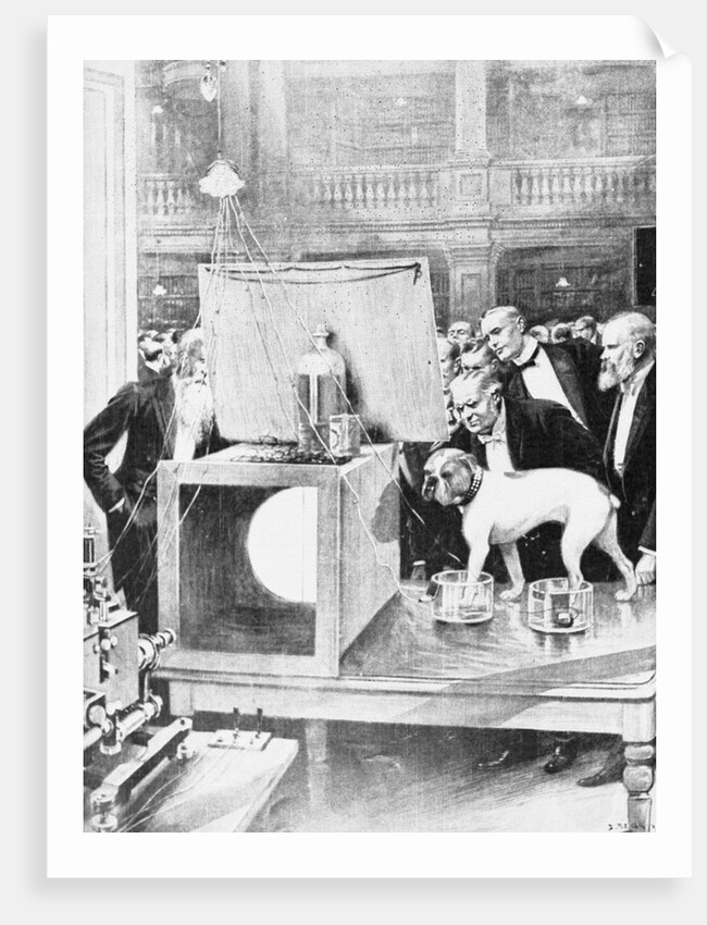 Dog Being Experimented on by Scientist by Anonymous
