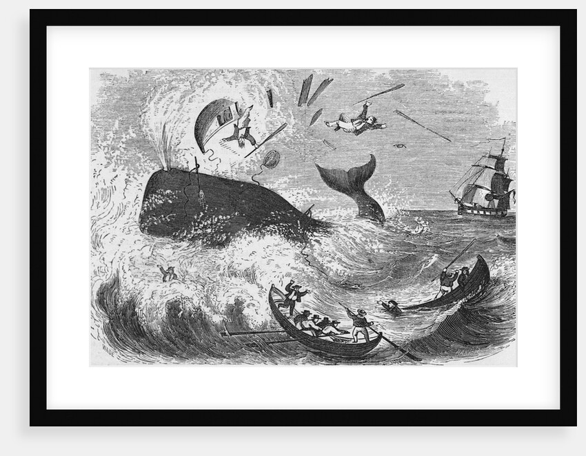 Whaling, The Flurry, Woodcut by Anonymous