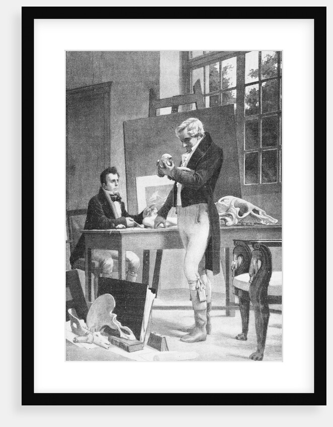 Print of Georges Cuvier Examining Animal Fossils by Anonymous