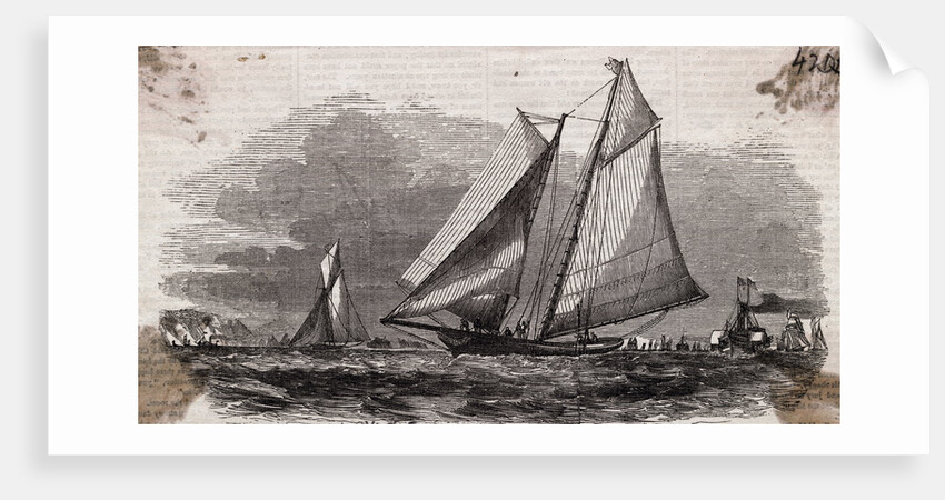 Yachting Competition by Anonymous